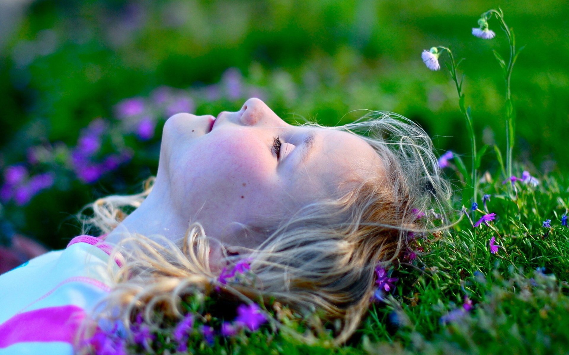 HD photography capturing a child lying peacefully in a vibrant field of green grass and purple flowers, creating a serene desktop wallpaper and background.