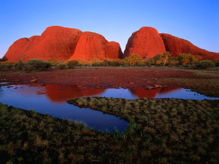 Vibrant red rock formations of The Olgas reflected in water at Uluru-Kata Tjuta National Park, captured in stunning HD for a nature-themed desktop wallpaper.