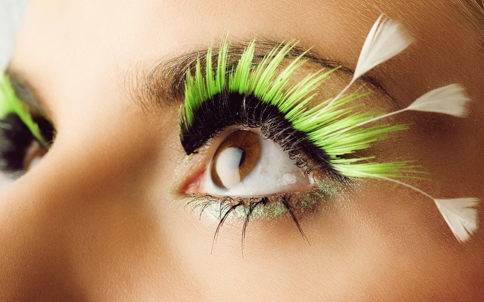 Eyelashes Wallpaper and Background Image | 1680x1050 | ID:448431