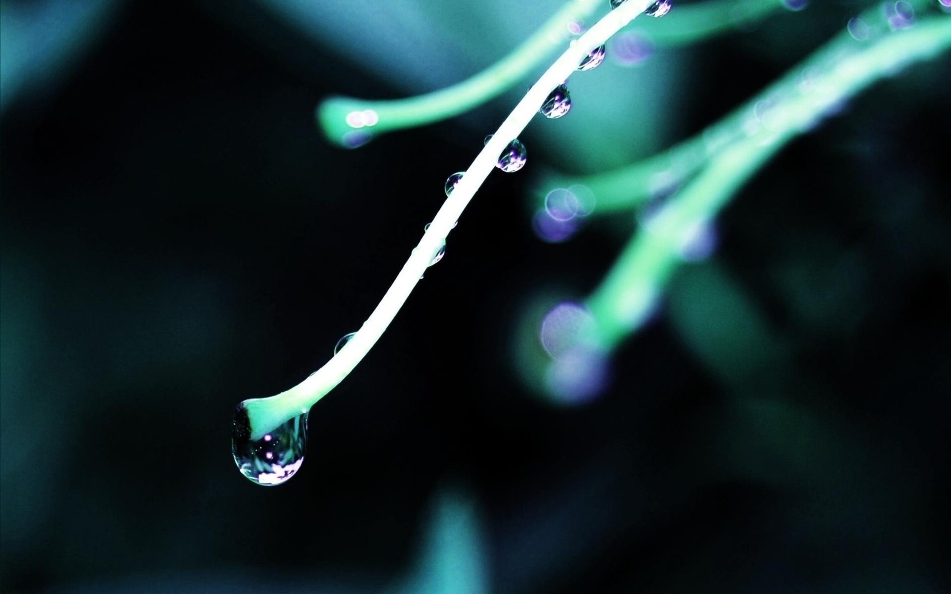 HD PC desktop wallpaper: nature close-up of a single water drop clinging to a slender plant tip against a soft-focus green-blue background.