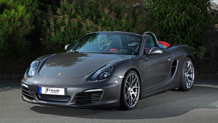 HD PC desktop wallpaper: grey Porsche Boxster convertible parked before lush greenery, a high-resolution image used as a desktop background.