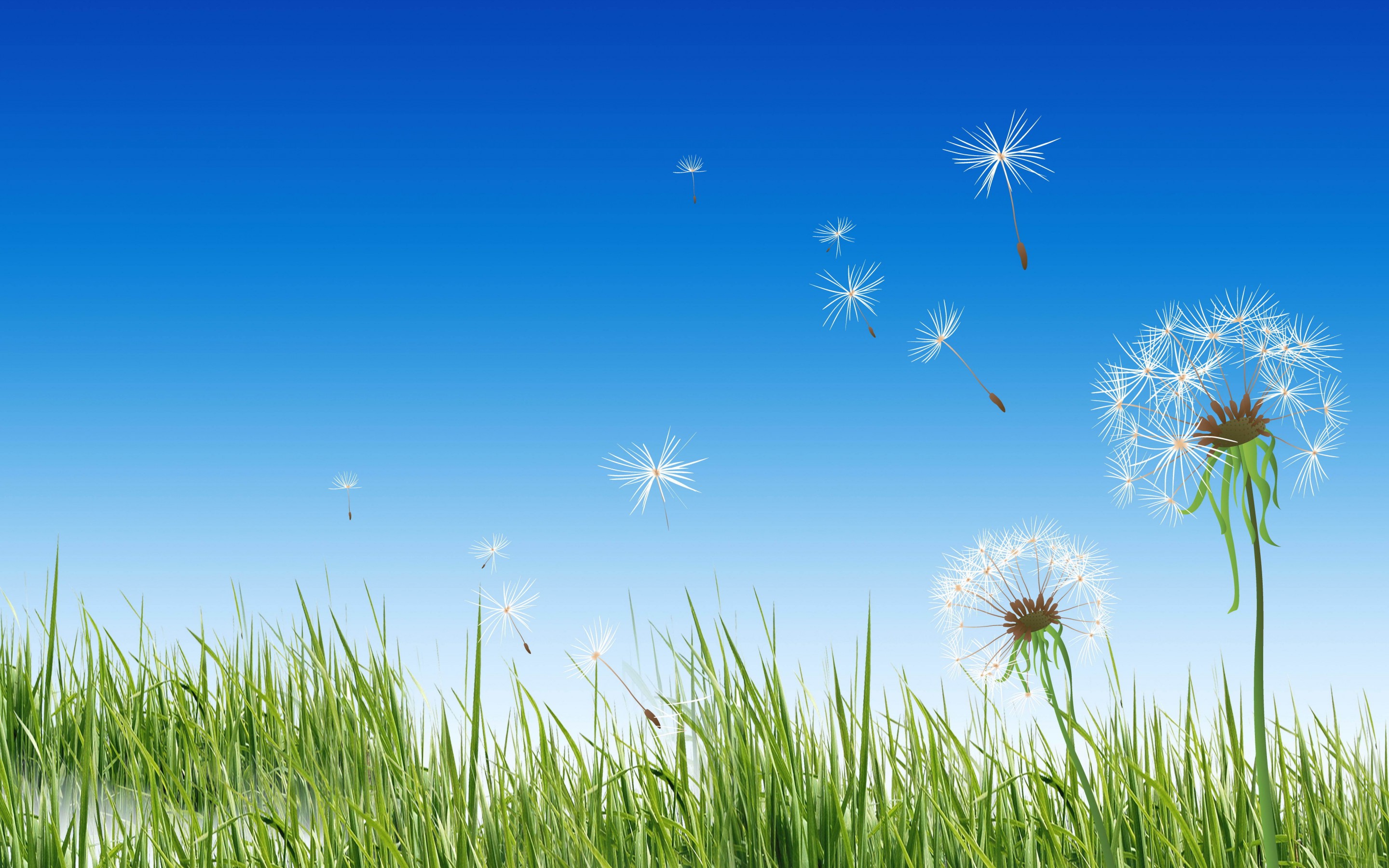 Dandelion Full HD Wallpaper and Background Image | 2880x1800 | ID:451087