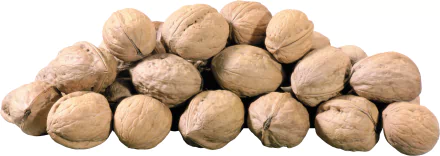 Whole walnuts clustered on a white background, food-themed 2K Quad HD PC desktop wallpaper and background.
