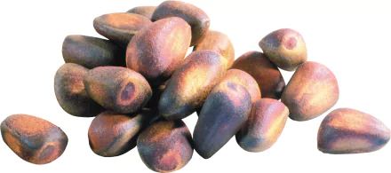 food nut HD Desktop Wallpaper | Background Image