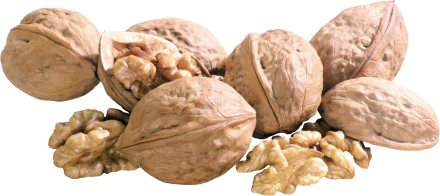 HD desktop wallpaper featuring close-up of whole and shelled walnuts with detailed textures on a white background.