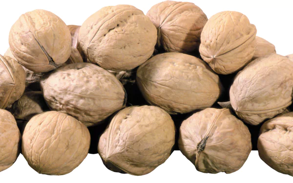 food walnut HD Desktop Wallpaper | Background Image