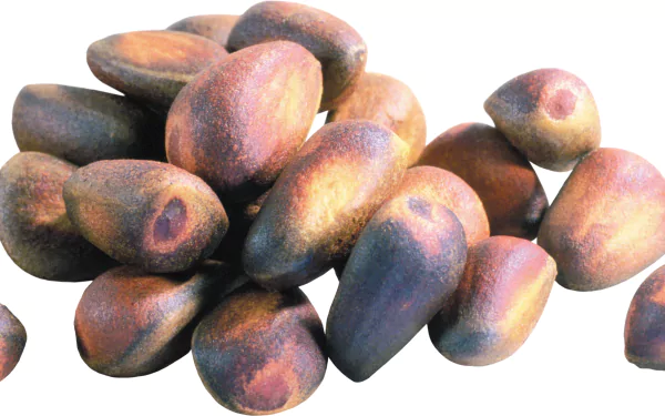 food nut HD Desktop Wallpaper | Background Image