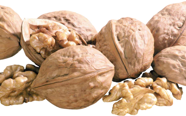 food walnut HD Desktop Wallpaper | Background Image