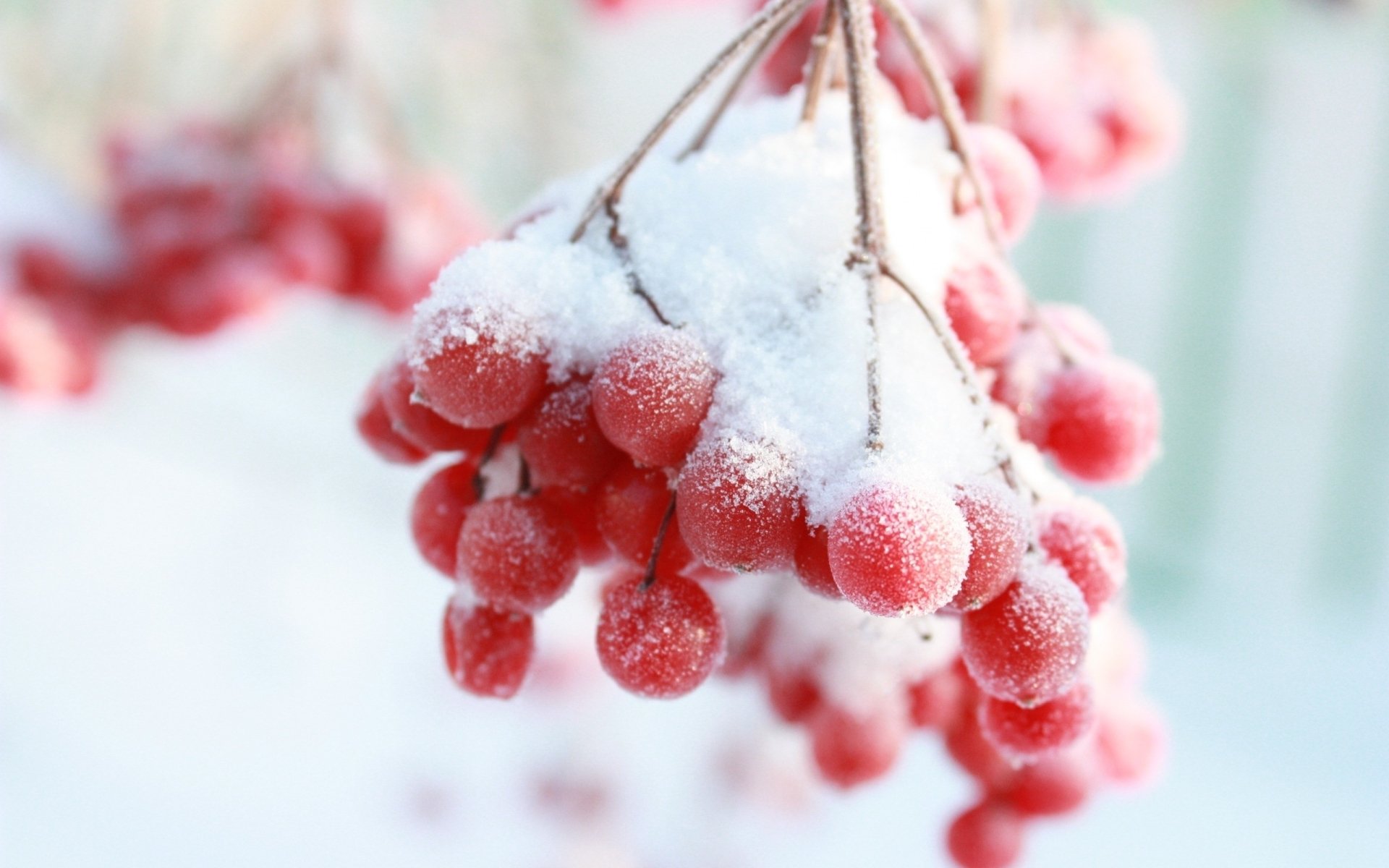 Photography Winter HD Wallpaper