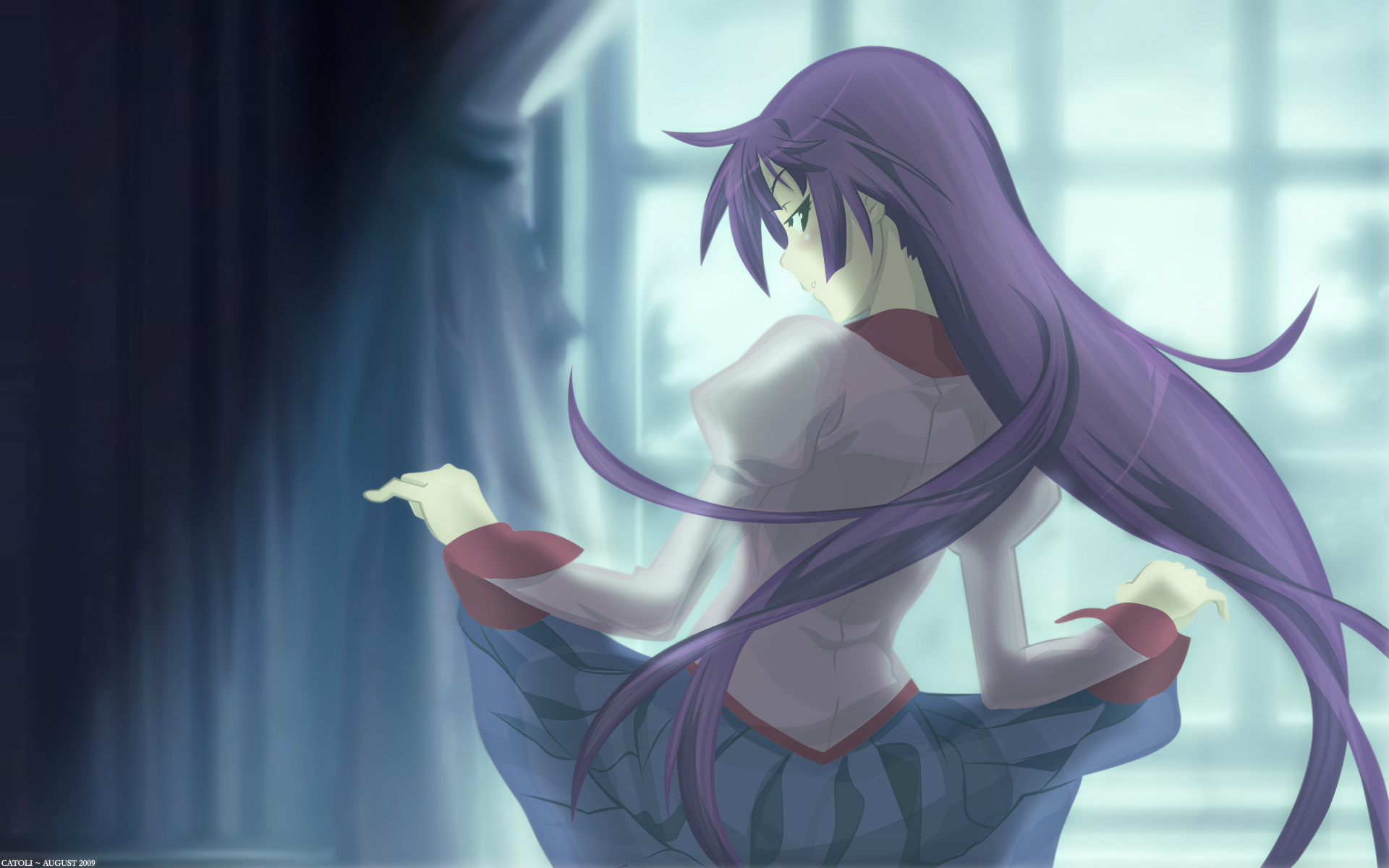 Download Hitagi Senjōgahara Anime Monogatari (Series) HD Wallpaper