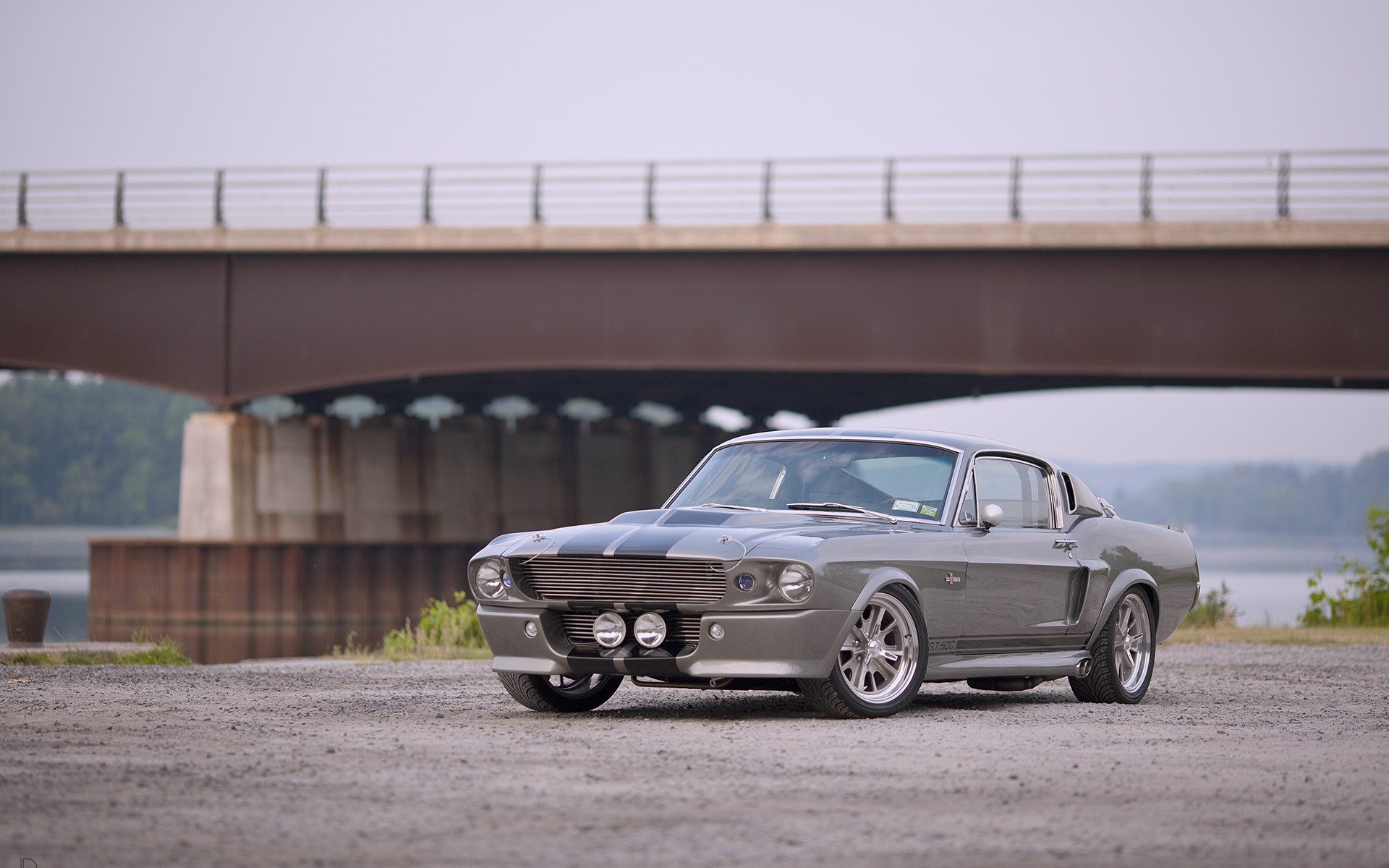 Ford mustang рейзора