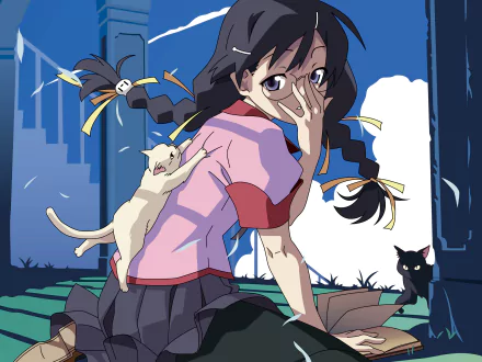 Tsubasa Hanekawa Anime Monogatari (Series) HD Desktop Wallpaper | Background Image