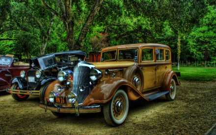 A classic Packard Sedan parked amidst lush greenery, showcasing its vintage design and details. This HD wallpaper captures the elegance of a bygone automotive era.