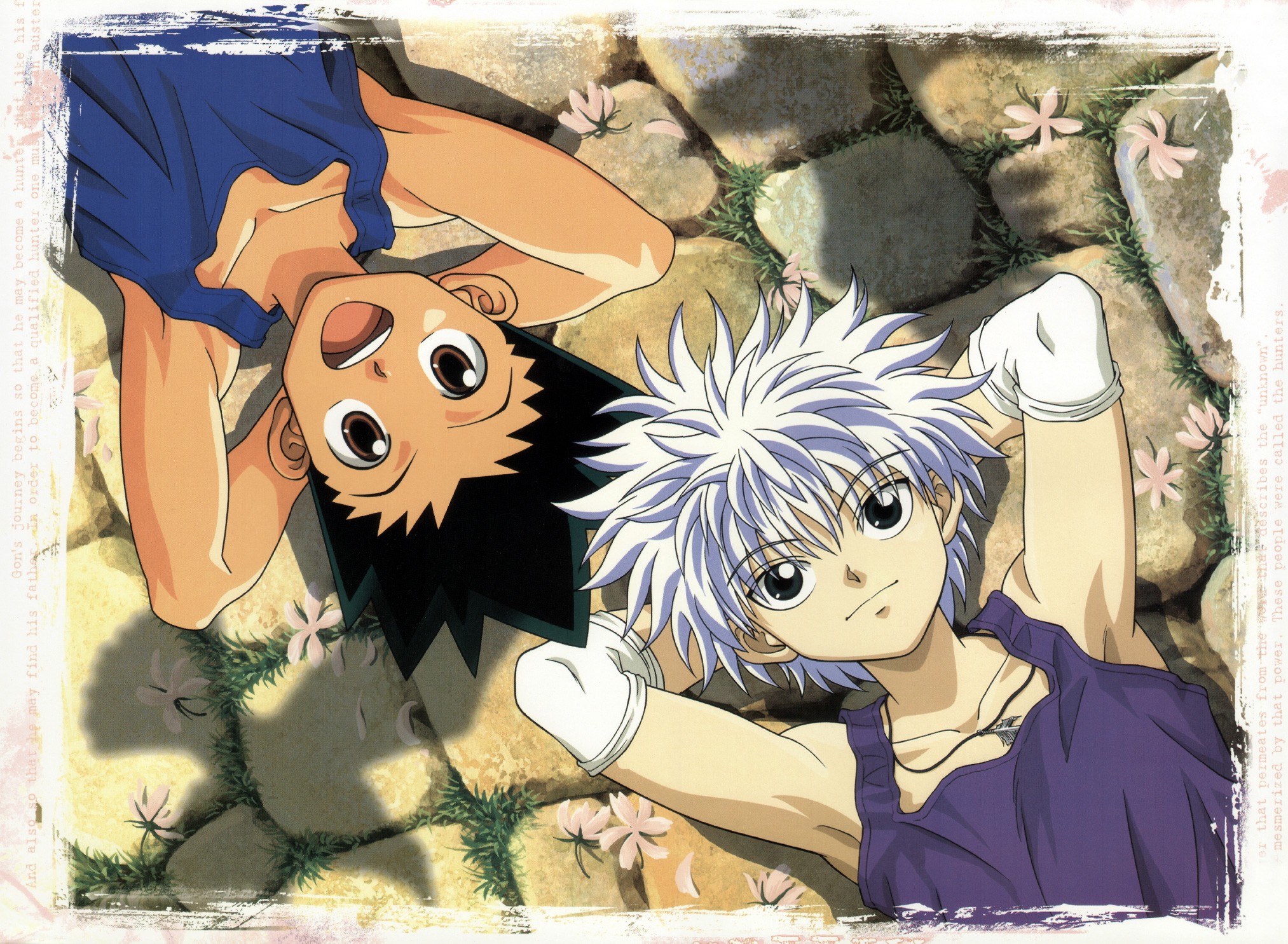 320+ Hunter x Hunter HD Wallpapers and Backgrounds