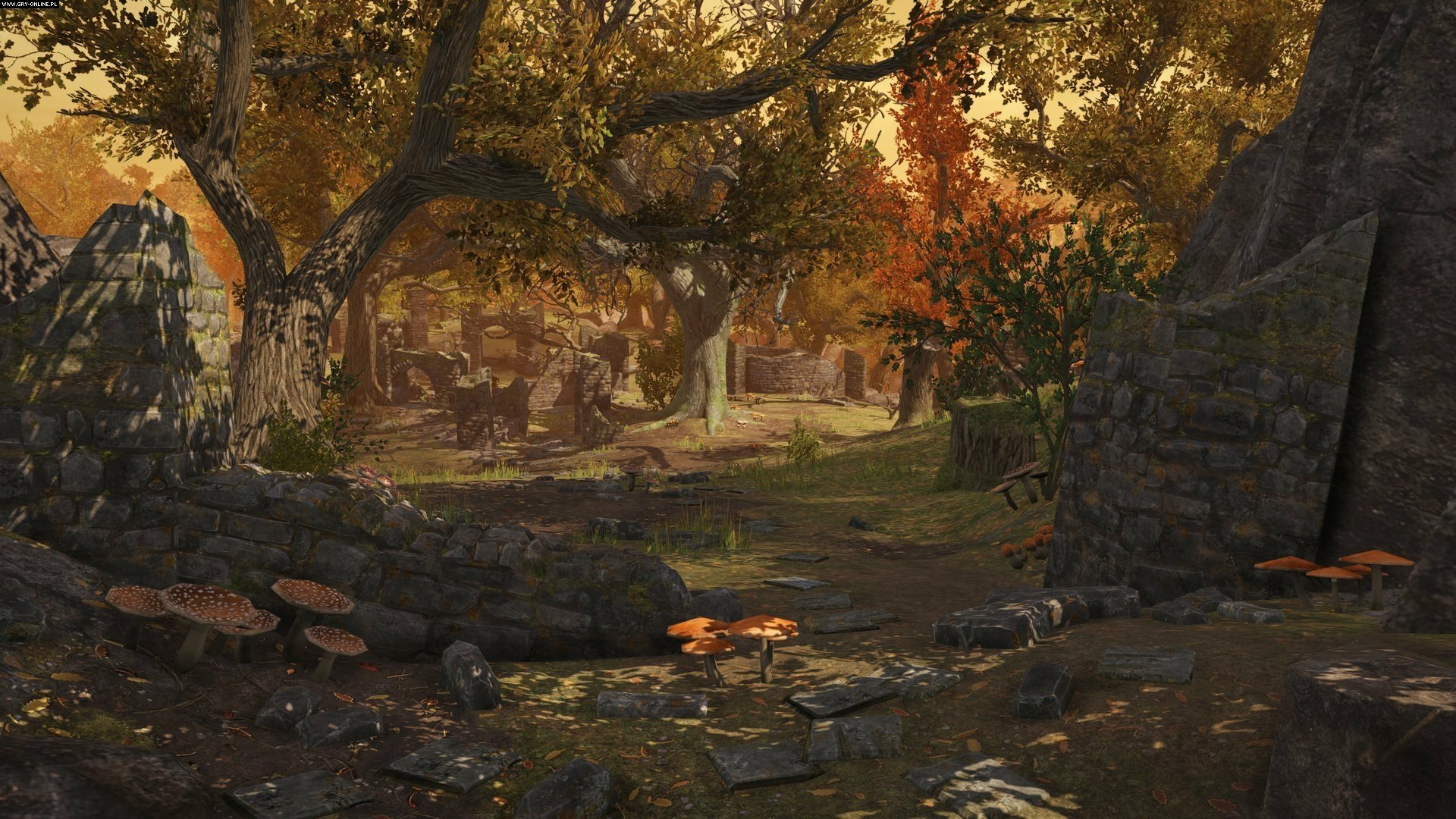 Download Video Game War Of The Vikings HD Wallpaper