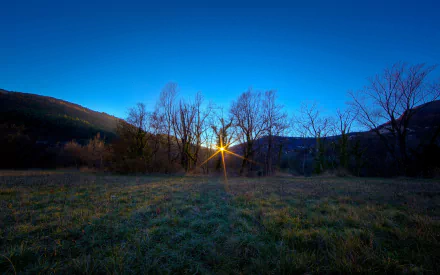 A serene nature scene at sunrise, featuring silhouetted trees against a clear blue sky, captured in stunning detail for a high-definition desktop wallpaper.