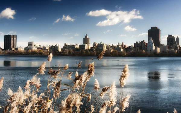 A tranquil view of Boston's skyline, featuring a serene river and lush reeds in the foreground, captured in stunning 4K Ultra HD quality for a striking desktop wallpaper.
