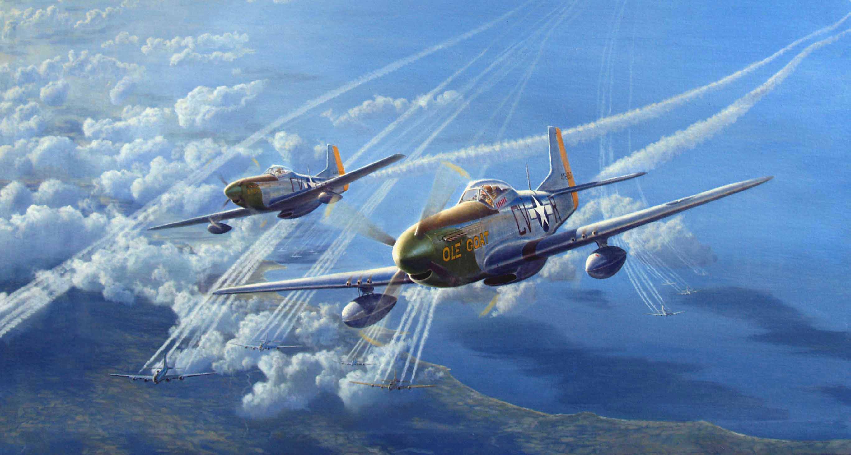 P 51 Mustang Hd Wallpaper