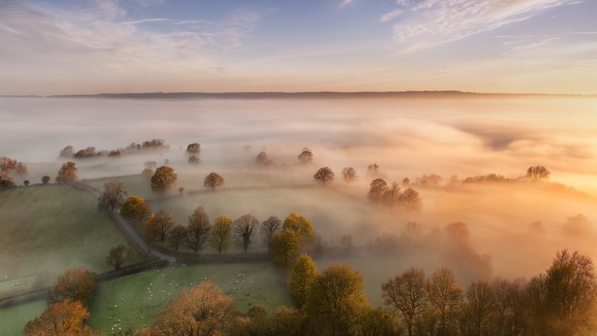 Nature Fog 4k Ultra HD Wallpaper