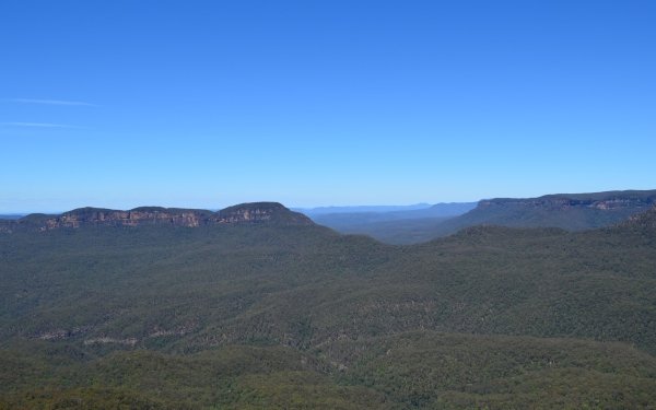 Earth Blue Mountains Mountains Katoomba Mountain Forest Australia HD Wallpaper | Background Image