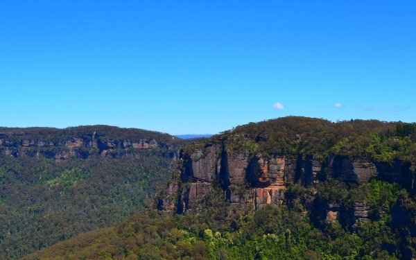 Earth Blue Mountains Mountains Katoomba Mountain Rock Australia Cliff Tree Forest HD Wallpaper | Background Image
