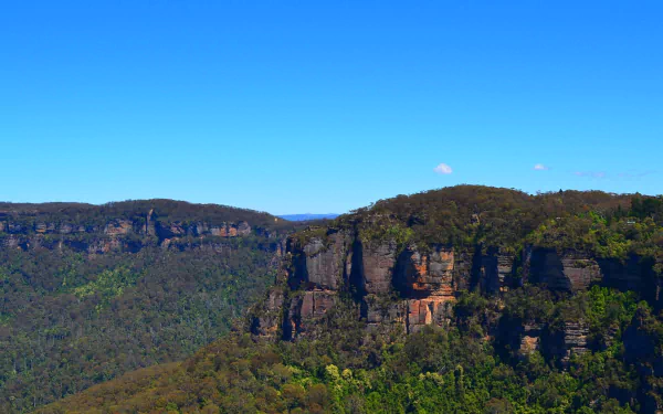HD desktop wallpaper of the Blue Mountains in Katoomba, Australia, showcasing forested cliffs and rugged trees under a clear blue sky.