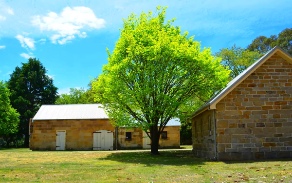A vibrant green tree stands between historic sandstone buildings at Eskbank House in Lithgow, Australia, under a bright blue sky.