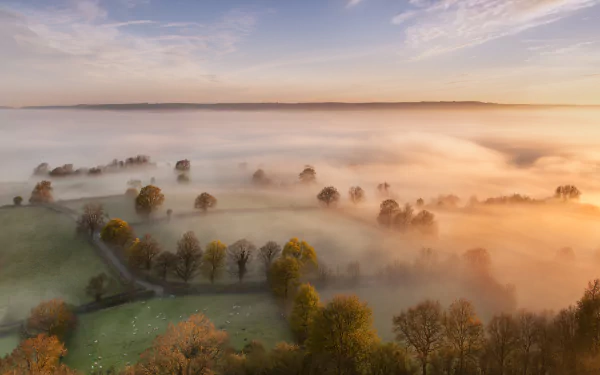 nature fog HD Desktop Wallpaper | Background Image