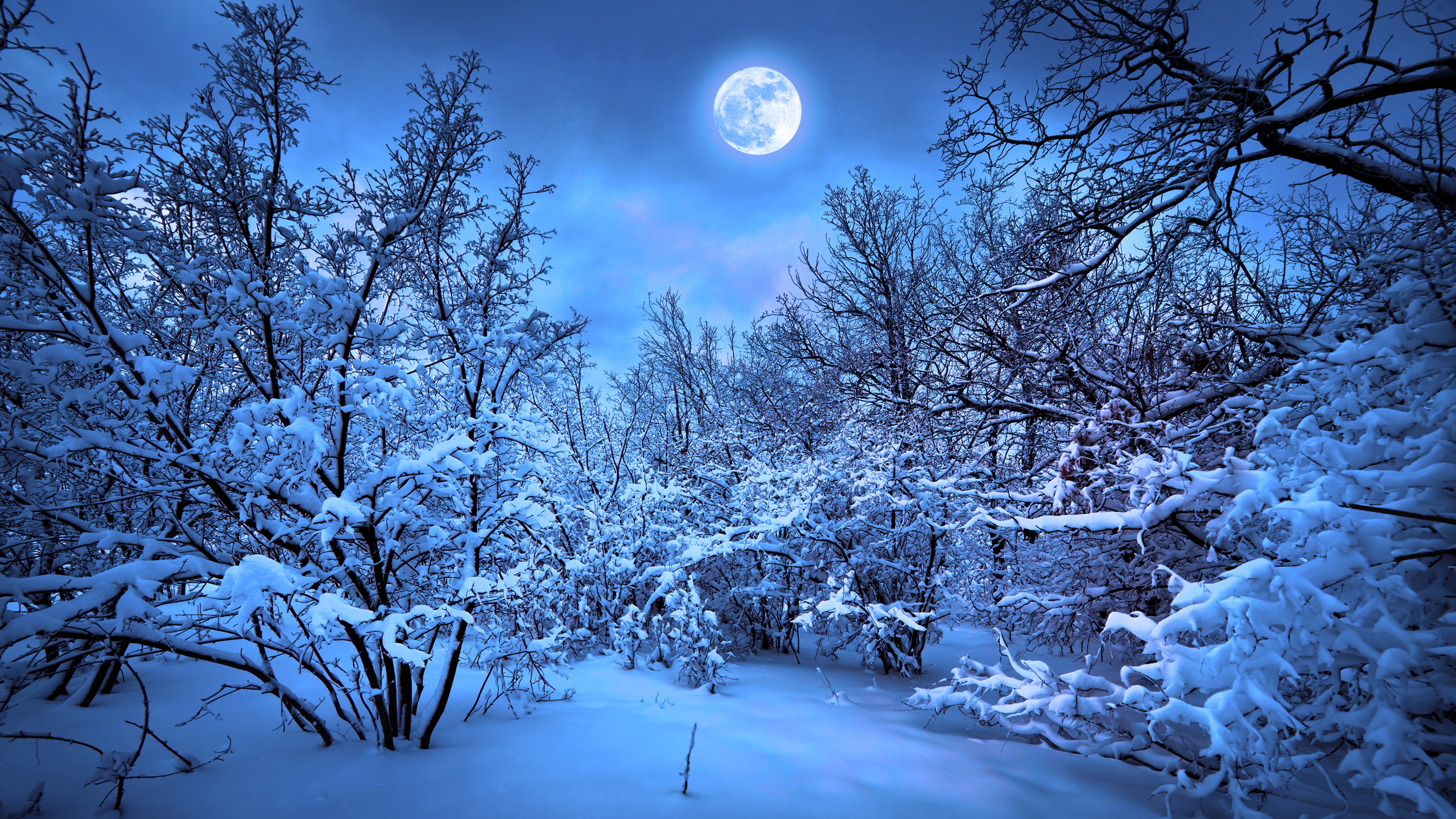 Nature Moon HD Wallpaper | Background Image