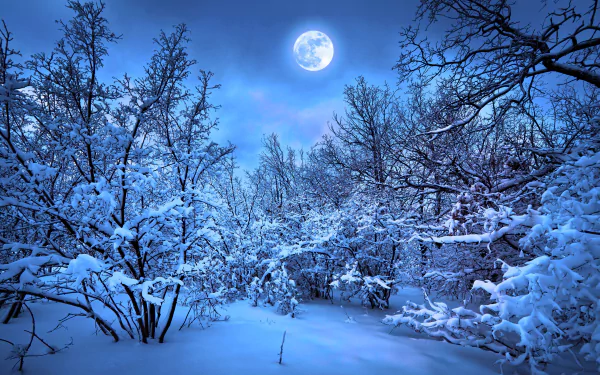 HD desktop wallpaper featuring a luminous full moon over a snow-covered woodland at twilight.