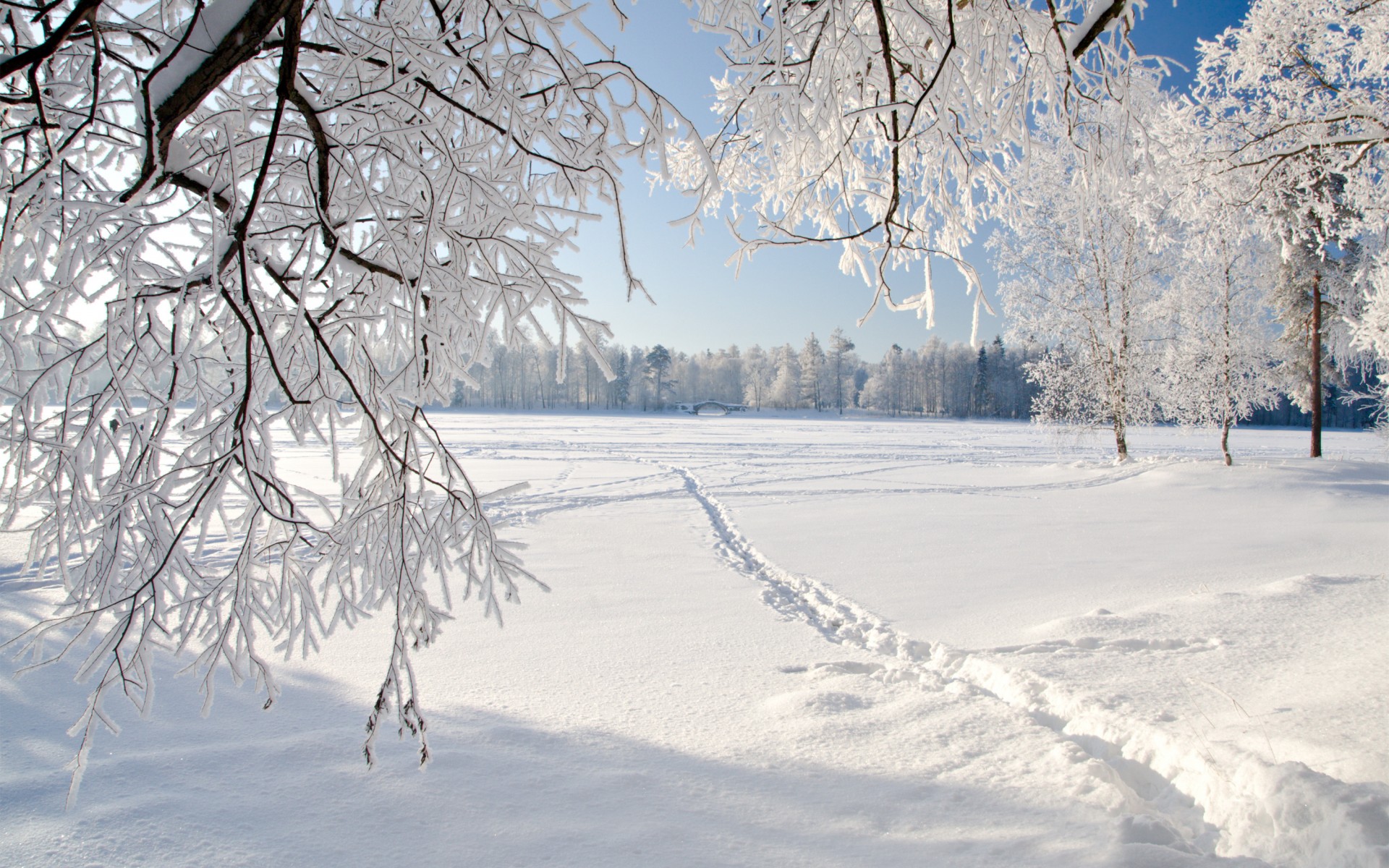 Serene Winter Wonderland - HD Wallpaper