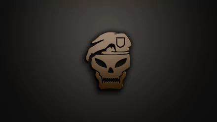 A dark HD PC desktop wallpaper featuring the iconic skull logo from Call of Duty: Black Ops, showcasing a blend of military themes and edgy design.