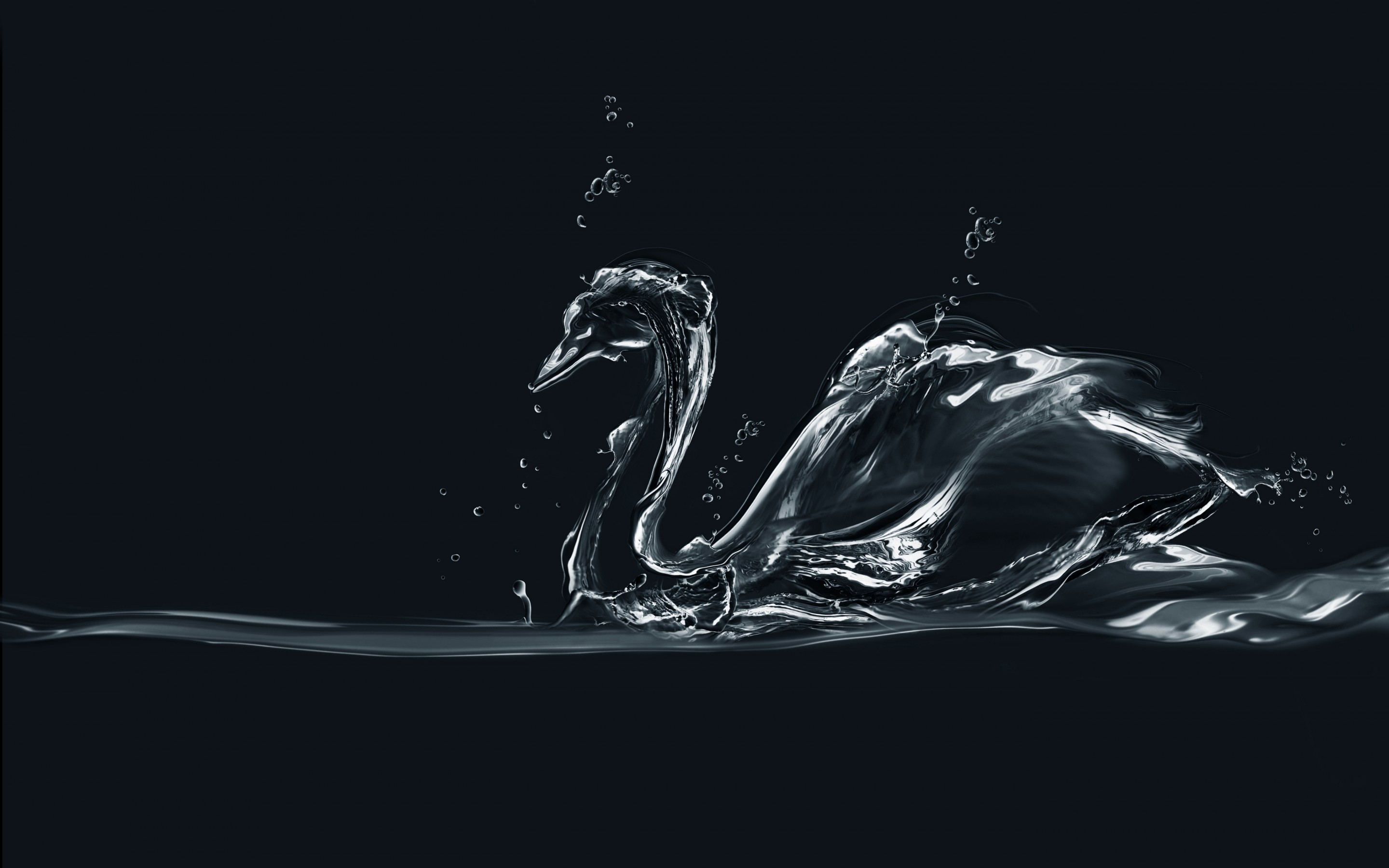 63 Swan HD Wallpapers | Backgrounds - Wallpaper Abyss