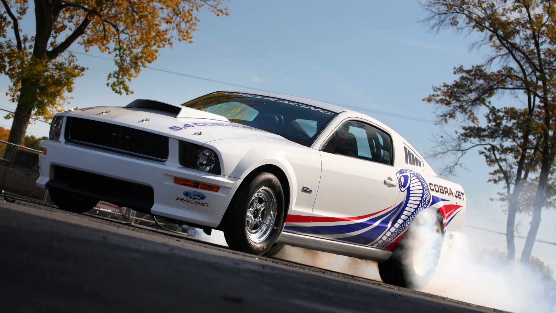 Download Vehicle Ford Mustang Cobra Jet HD Wallpaper