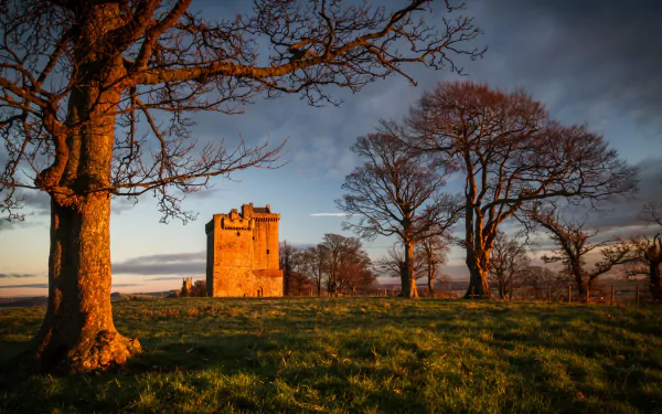 Scotland man made Clackmannan Tower HD Desktop Wallpaper | Background Image