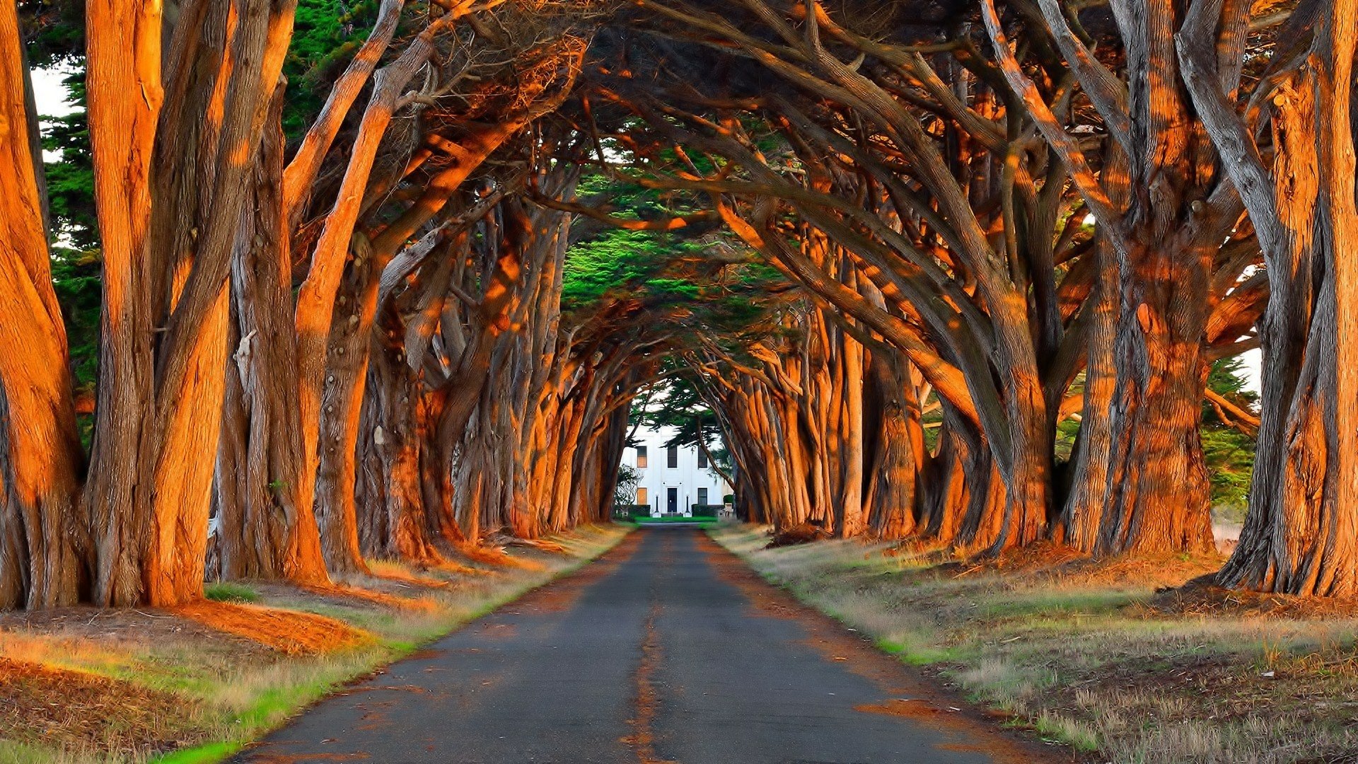 Download Man Made Road HD Wallpaper