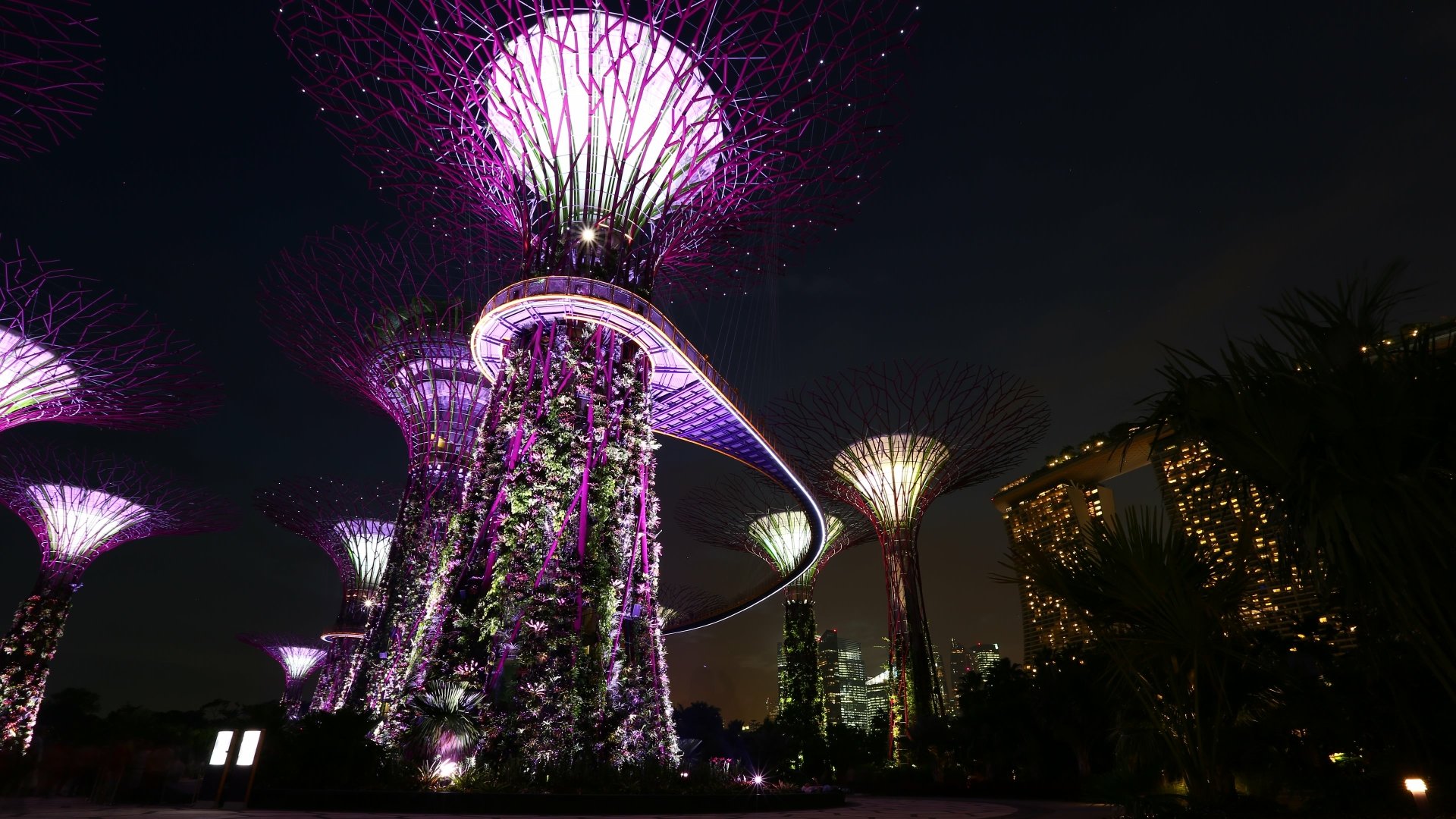 Night scene of illuminated man-made Supertrees at Gardens by the Bay with Marina Bay Sands skyline, 4K Ultra HD PC desktop wallpaper.