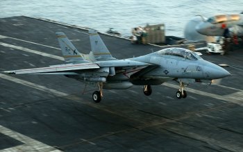 40 Grumman F 14 Tomcat Papeis De Parede Hd Planos De Fundo