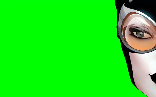 Comic Catwoman HD Desktop Wallpaper | Background Image