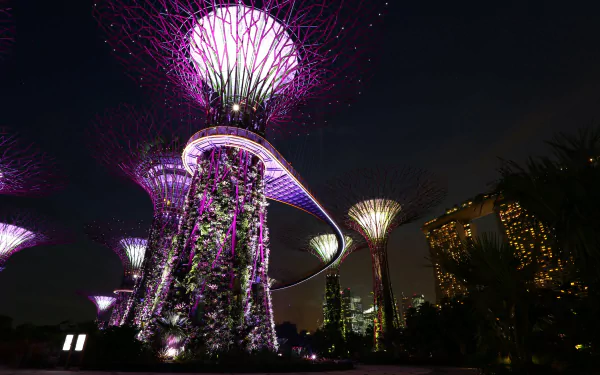 Night scene of illuminated man-made Supertrees at Gardens by the Bay with Marina Bay Sands skyline, 4K Ultra HD PC desktop wallpaper.