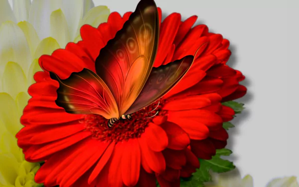 Artistic HD PC desktop wallpaper featuring a vibrant red flower with a detailed orange butterfly resting on its petals.