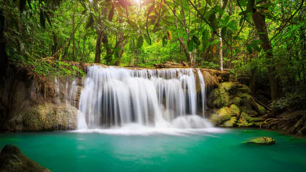 HD desktop wallpaper featuring a serene waterfall cascading into a turquoise pool surrounded by lush green foliage, providing a tranquil nature background.