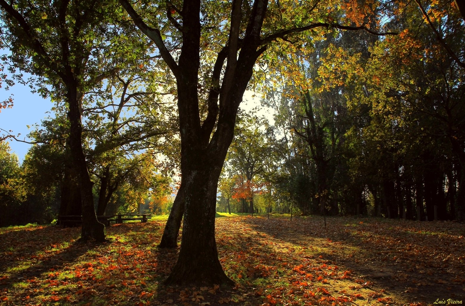 Contraluz by augustovieira38@gmail.com