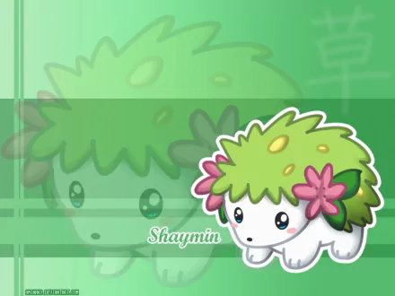 A vibrant HD wallpaper featuring Shaymin, the grass-type Pokémon, from the anime series. The image showcases Shaymin's cute design against a soft green background.