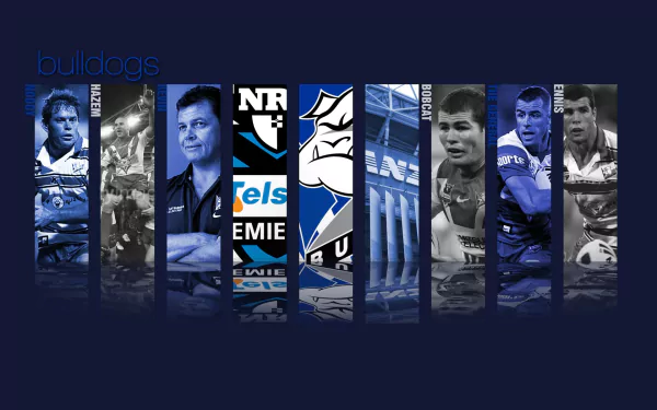 HD PC desktop wallpaper featuring the Canterbury Bulldogs rugby team with player images, logo, and team colors in a dynamic sports design.