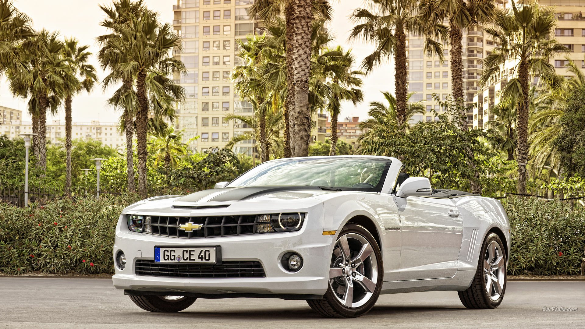 Vehicle: white Chevrolet Camaro Convertible parked before palm trees and city high-rises, HD PC desktop wallpaper/background.