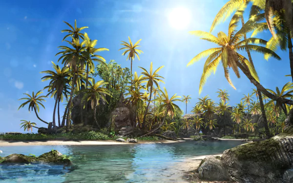 HD desktop wallpaper and background from Assassin's Creed IV: Black Flag, depicting a bright, sunny day on a tropical beach with clear blue waters and lush palm trees.