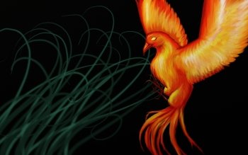 49 Phoenix Hd Wallpapers Background Images Wallpaper Abyss