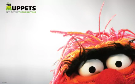 movie The Muppets (TV Show) HD Desktop Wallpaper | Background Image