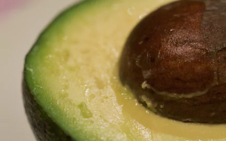 food avocado HD Desktop Wallpaper | Background Image